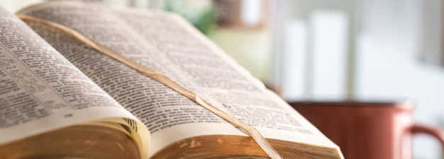 Culture biblique